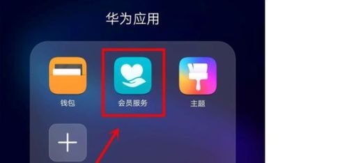华为手机怎么测量卡路里(华为手机怎么测量卡路里的数据)