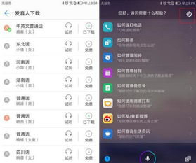 华为盲人怎么打开手机(华为盲人怎么打开手机应用)