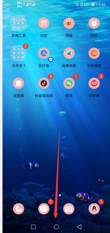 华为手机怎么逆光拍景(华为手机怎么逆光拍景物照片)